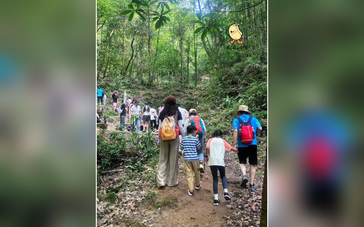 户外亲子运动推荐：在大自然里动起来
